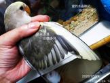 點選圖片可放大