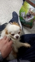 點選圖片可放大