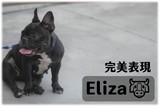點選圖片可放大