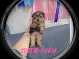 點選圖片可放大
