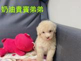 點選圖片可放大