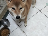 點選圖片可放大