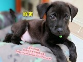 點選圖片可放大