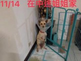 點選圖片可放大
