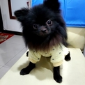 點選圖片可放大