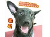 點選圖片可放大