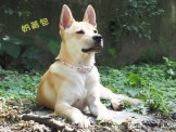 點選圖片可放大