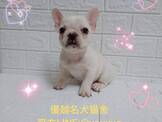 點選圖片可放大