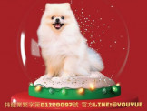 點選圖片可放大