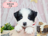 點選圖片可放大