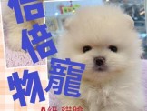 點選圖片可放大