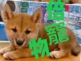 點選圖片可放大