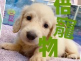 點選圖片可放大