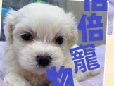 點選圖片可放大