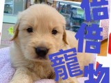點選圖片可放大