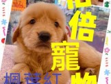 點選圖片可放大