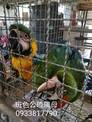 點選圖片可放大