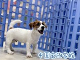 點選圖片可放大