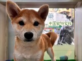 點選圖片可放大