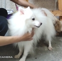 點選圖片可放大
