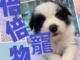 點選圖片可放大