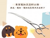 點選圖片可放大