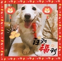 點選圖片可放大