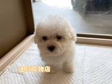 點選圖片可放大