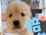 點選圖片可放大
