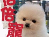 點選圖片可放大