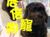 點選圖片可放大