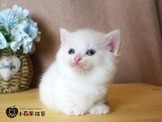 點選圖片可放大