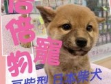 點選圖片可放大
