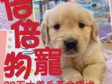 點選圖片可放大
