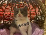 點選圖片可放大