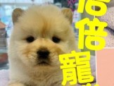 點選圖片可放大