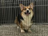 點選圖片可放大