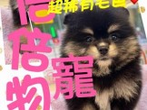 點選圖片可放大