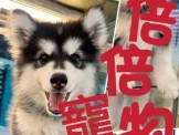 點選圖片可放大