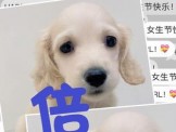 點選圖片可放大