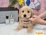 點選圖片可放大