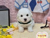 點選圖片可放大