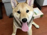點選圖片可放大