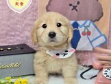 點選圖片可放大