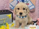 點選圖片可放大