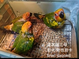 點選圖片可放大