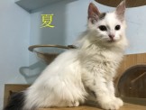 點選圖片可放大