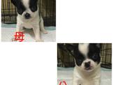 點選圖片可放大