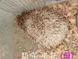 點選圖片可放大