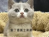 點選圖片可放大